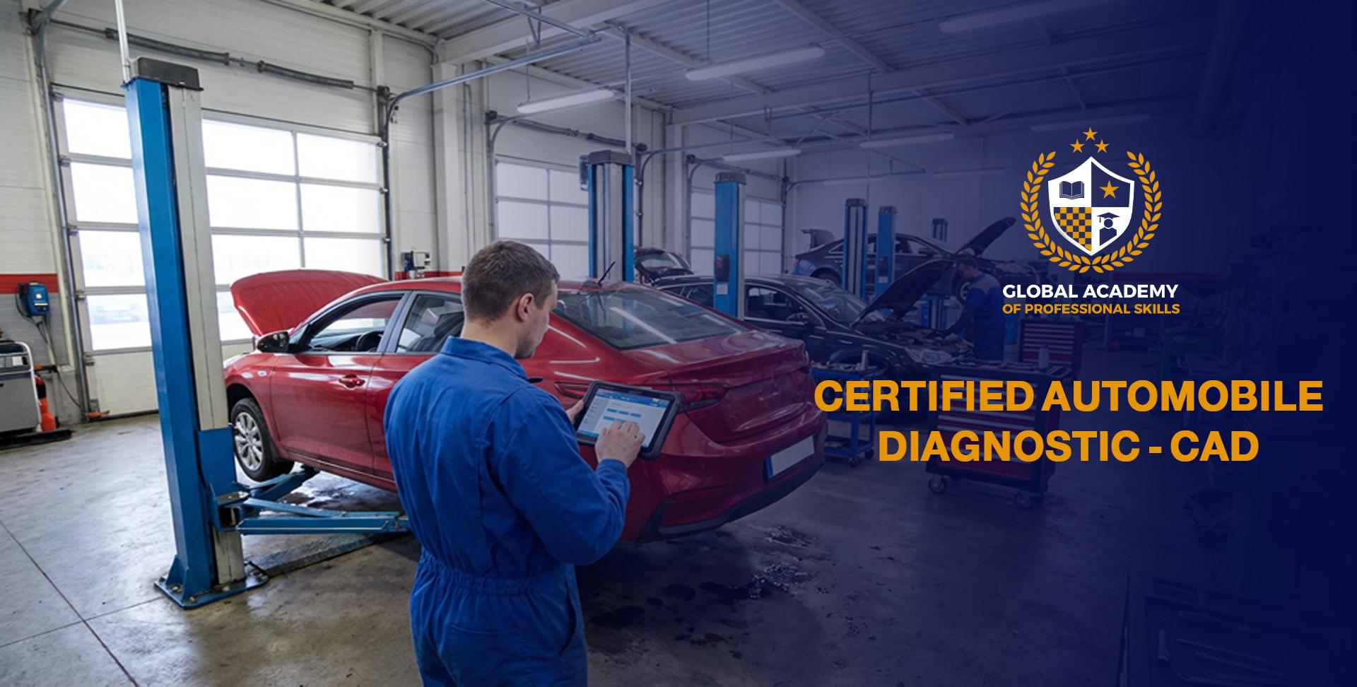 Automobile Diagnostic