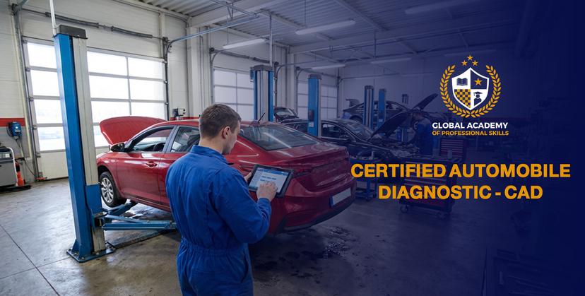 Automobile Diagnostic